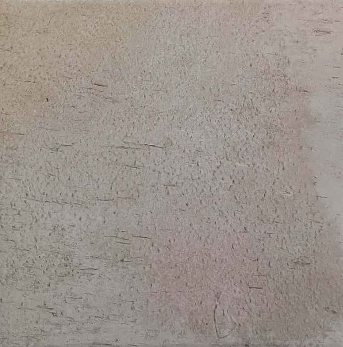 Leaves fantasy beige plain 250x250x10mm matt porcelain TILEJOB