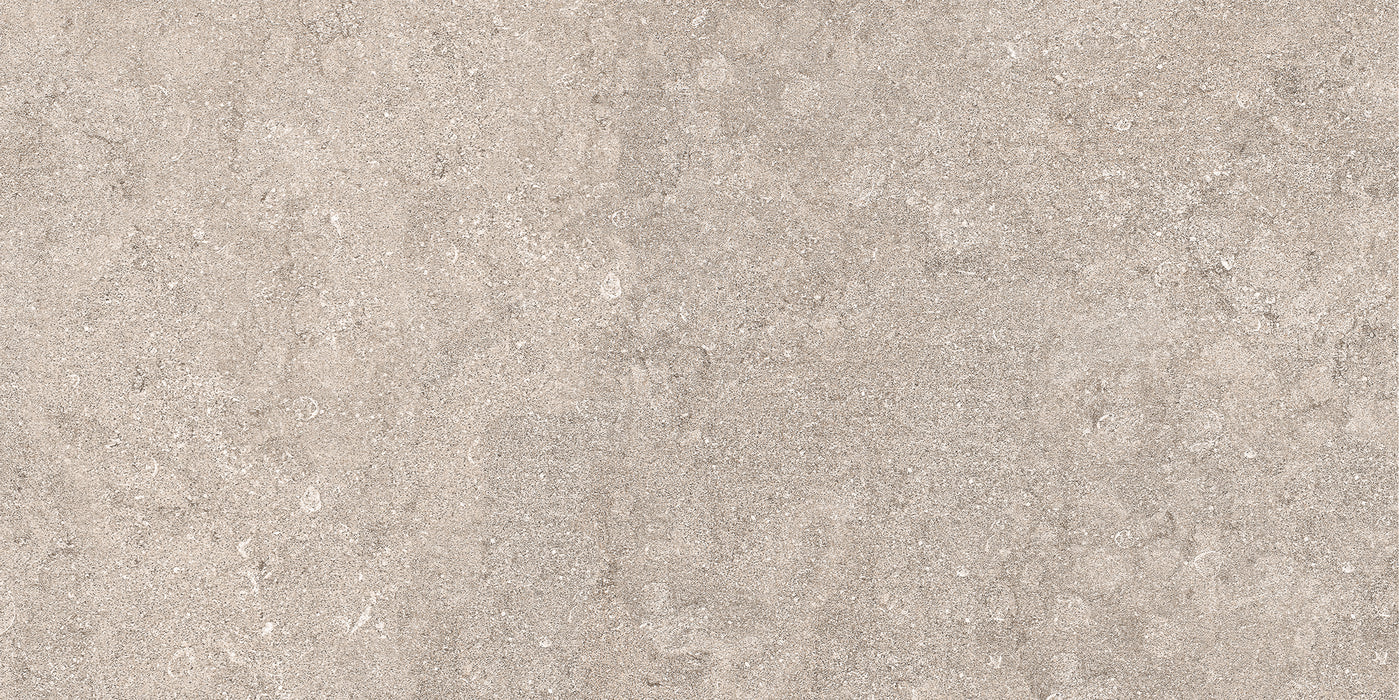 Belgium Grey Matt R11 Outdoor Paver 60x120cm All tiles TILEJOB.CO.UK