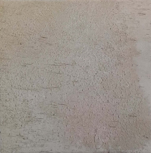 Leaves fantasy beige plain 250x250x10mm matt porcelain TILEJOB