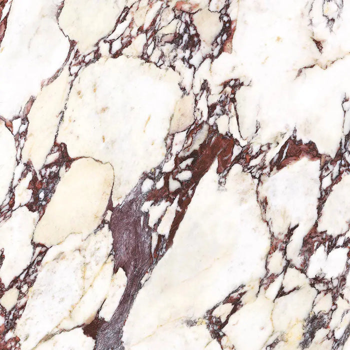 Calacatta Viola Novel Matte Porcelain Porcelain Tiles