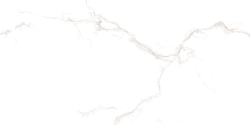 Carrara white matt 30x60cm All tiles TILEJOB