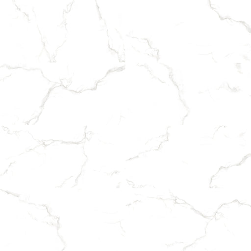 Carrara white gloss 30x60cm All tiles TILEJOB