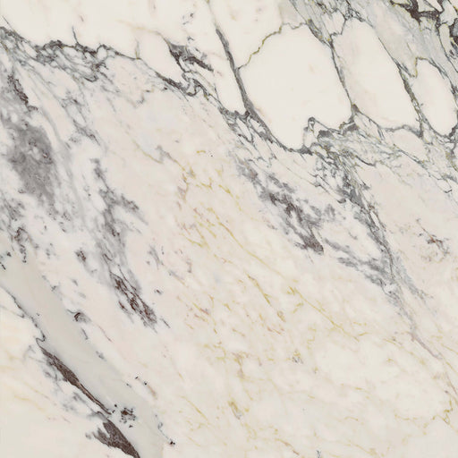 Capraia Natural 600mm x 600mm All tiles TILEJOB